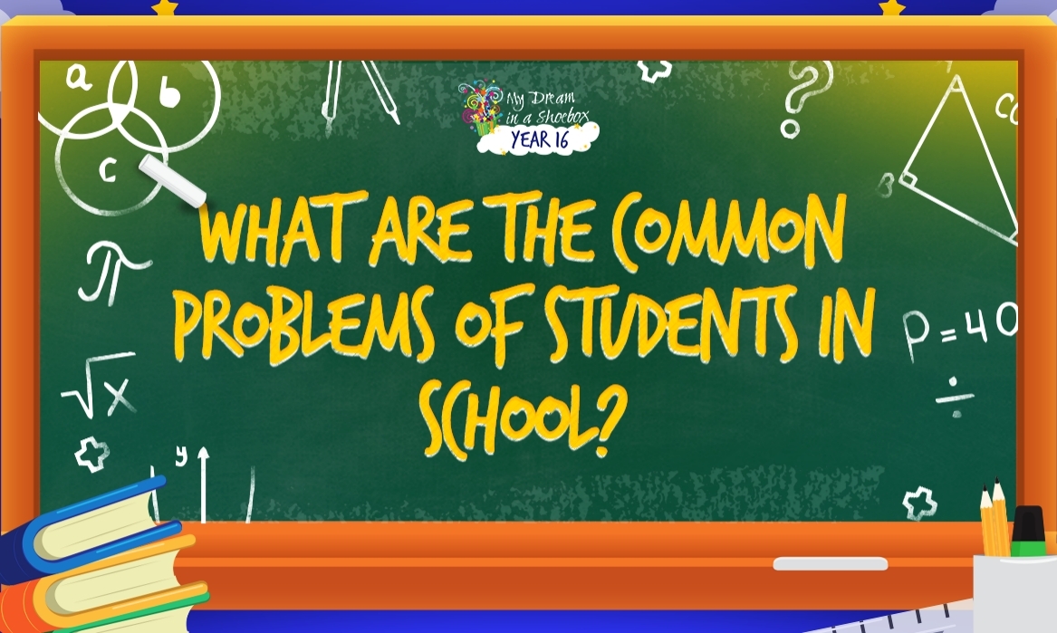 what are the common problems of students in school